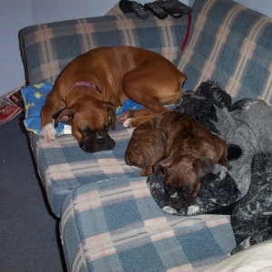 sleeping side by side