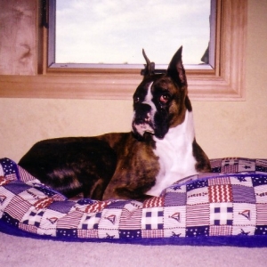 Jack in his bed