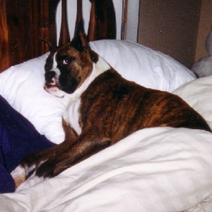 Bed Time