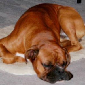 Hard Life