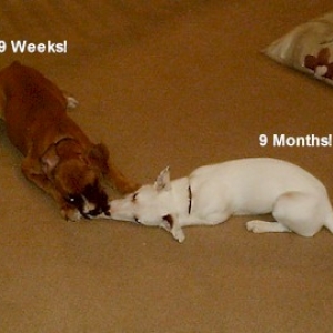 Sharing