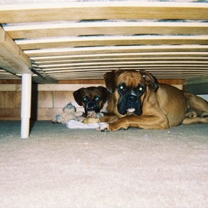 Double Trouble