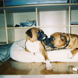 Emma, please gimmie a kiss