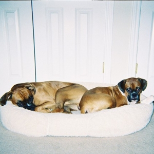 Room for two.