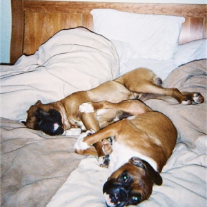 Sharing the bed