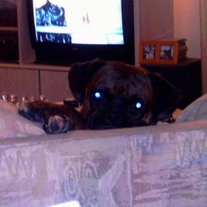 Peek a boo