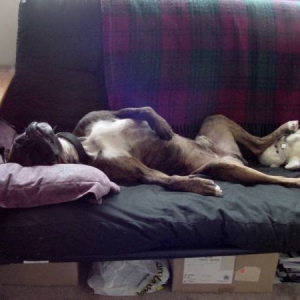 Lazy Boy