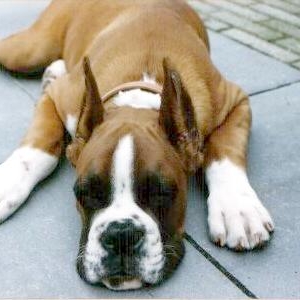 I am sooooo tired