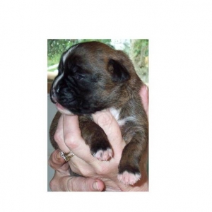 No Name yet