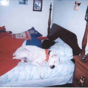 Me_Charlie_Paper_Sleeping