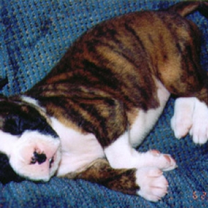 Sleeping Beauty