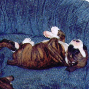 HollySleepingTwo