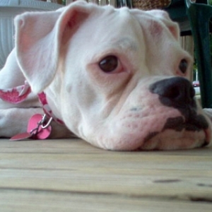 Ready for my closeup!