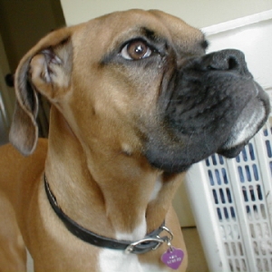 my pretty baby girl asia