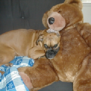 asia and her bear