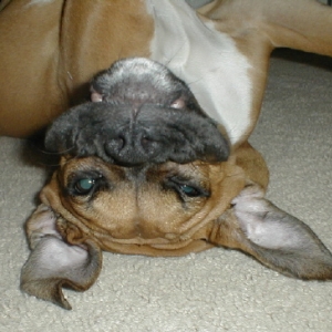 funky face