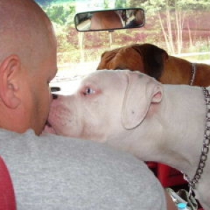 getting a kiss from a buddy