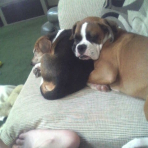 Anything works as a pillow!