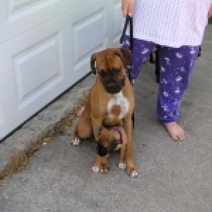our little girl