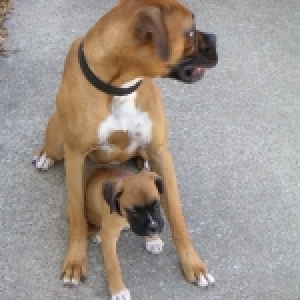 zoe and niegber