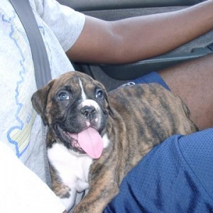 I'm going home!