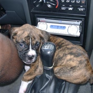 This is actually comfortable