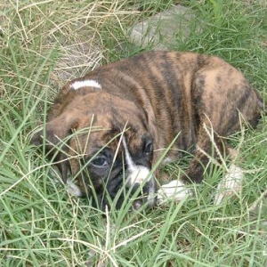 Long day at the beach,,,I'm tired