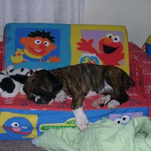 snoring = good sleep