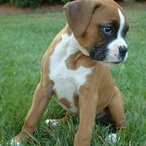 Seems so innocent.