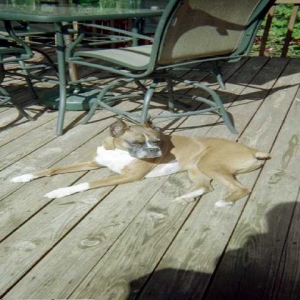 Madison Deck