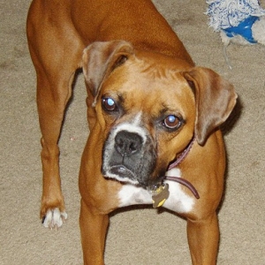 Sophie