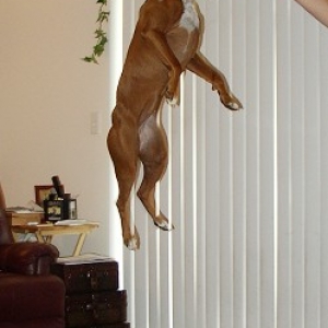 Jump