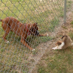 Sophie and Parker
