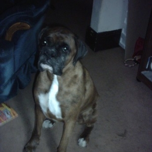 Sinbad