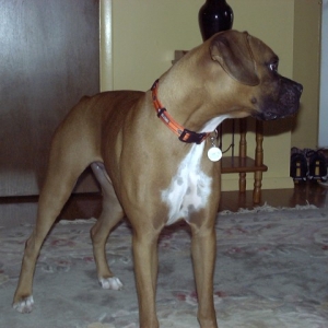 SugarRay