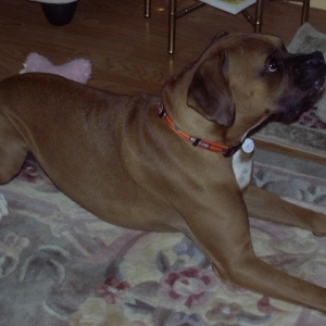 SugarRay