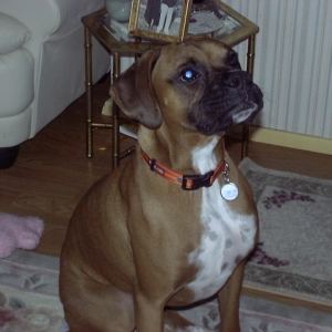 SugarRay 1yr old