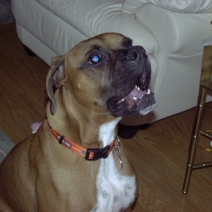SugarRay