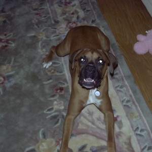 SugarRay
