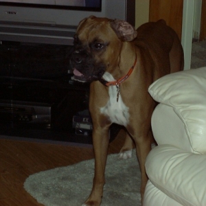 SugarRay