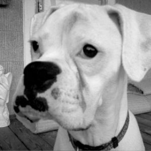 Black and white head profile