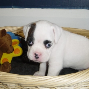 1st day home