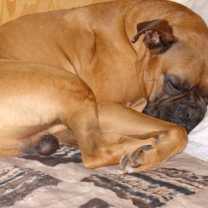 Sleepin on my bed :)