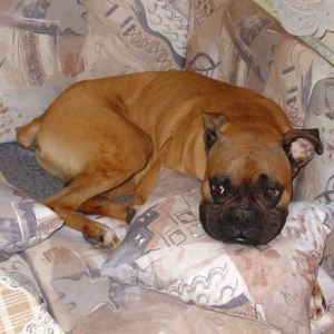 His favorite pillow