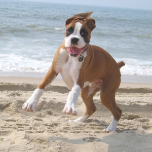 Loving the beach