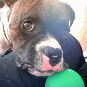 Magoo requesting a game of catch