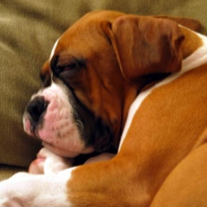 Sleepin