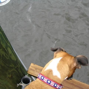 Maz watching fish.