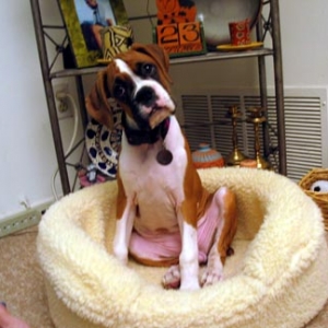 My Baby Bed (I don't fit in it anymore!!!
