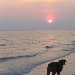 Legend at sunset
